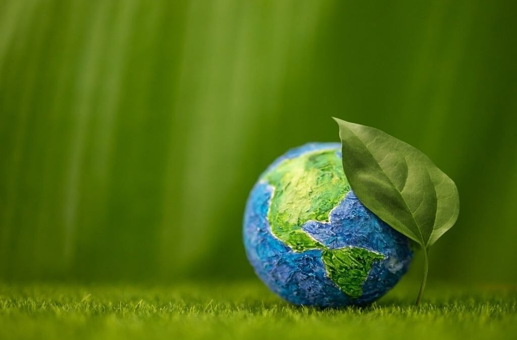 Sustainability in the Office Search What Companies Should Look for Today
